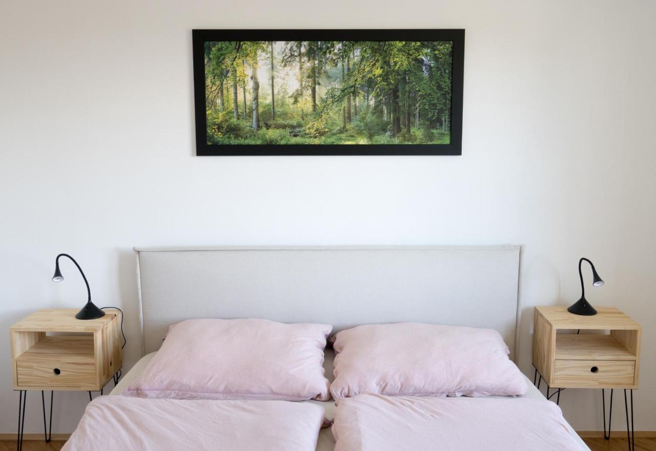 Apartmán na Kamenci Teplice nad Metují Exteriér fotografie